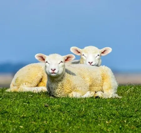 Apartmán Haus Uthlande Uthlande Whg 51 Meeresbrise *